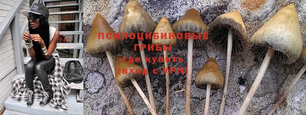 дурь Зеленодольск